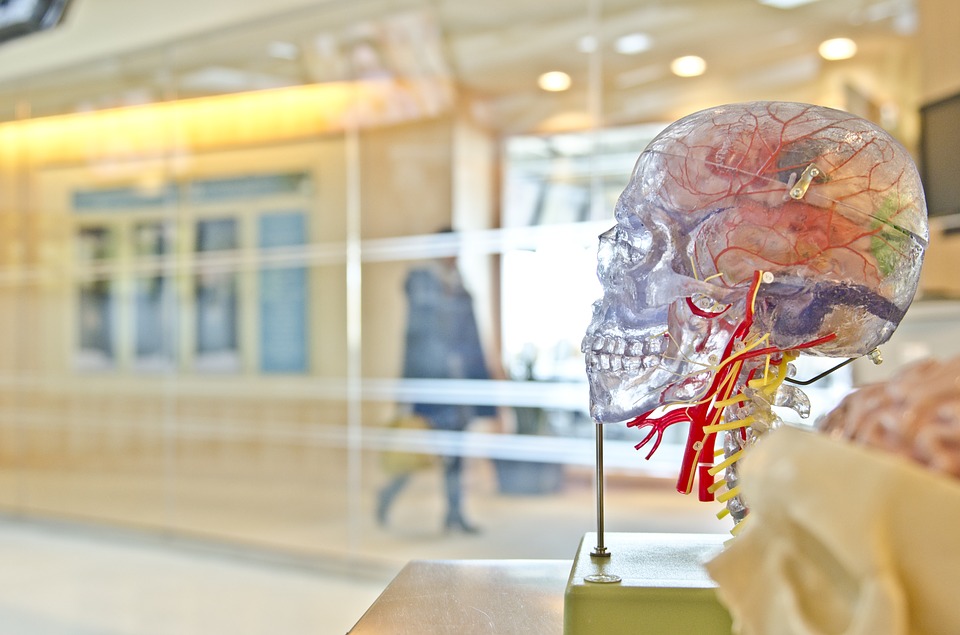 Ask A Doctor - Neurology – Strokes & Seizures