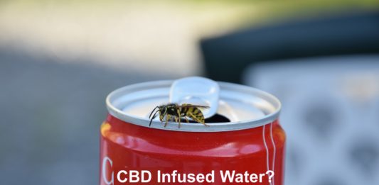 CBD Cola Water