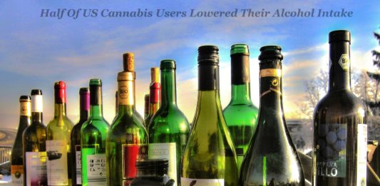 Half Of US Cannabis Users Lowered Their Alcohol Intake