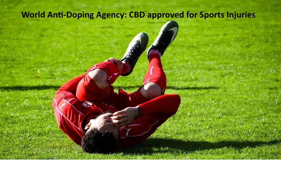 World Anti-Doping Agency: CBD approved for Sports Injuries