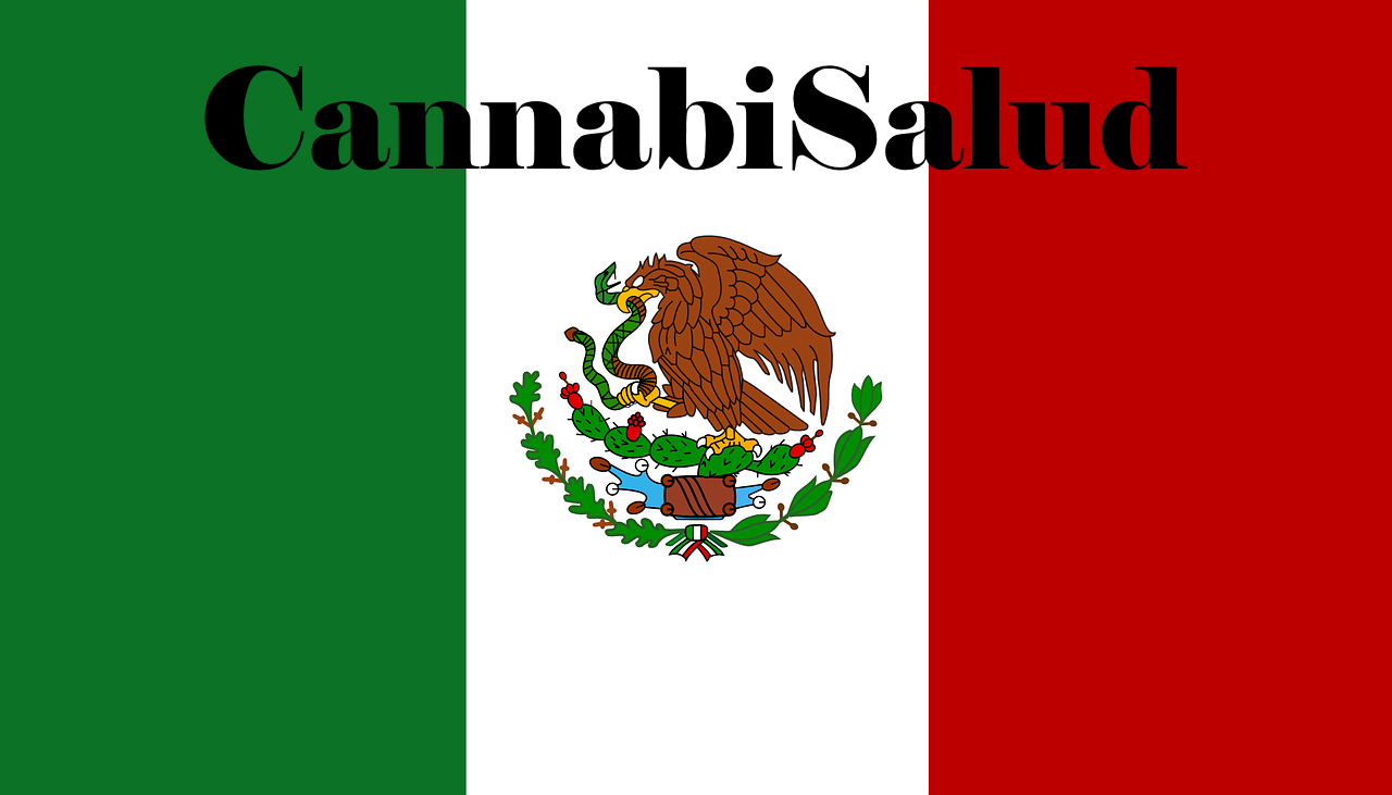 CannabiSalud - Bringing Medical Cannabis To Latin America