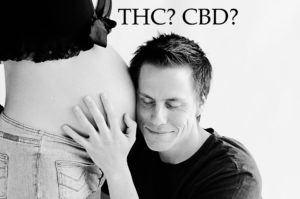 Cannabis and pregnancy: What men should know about THC and fertility?