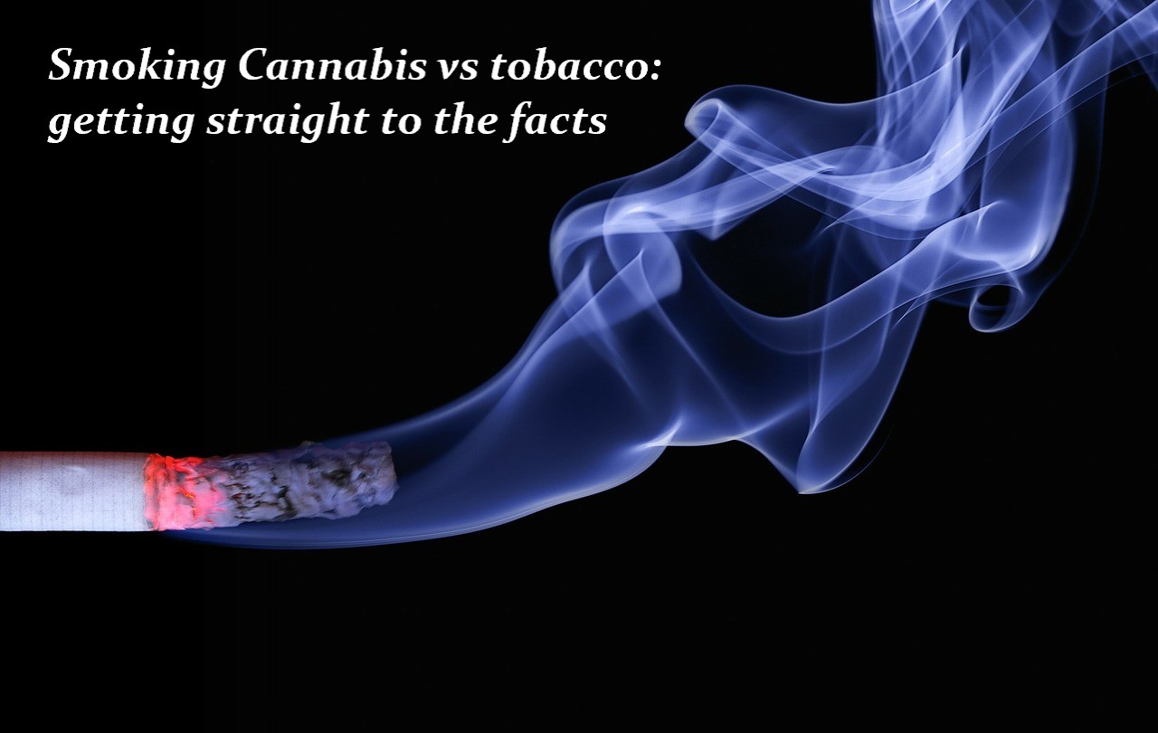 Smoking cannabis vs tobacco