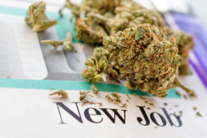 cannabis industry jobs
