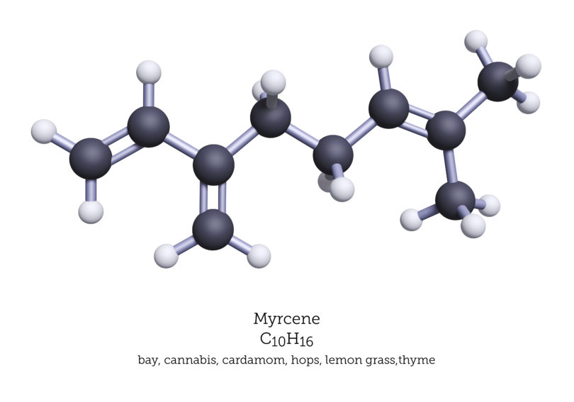 mycrene
