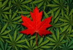 Aurora Canada Cannabis