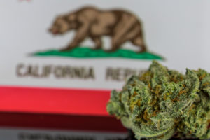 california cannabis industry