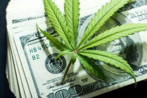 california cannabis industry