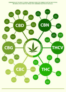 cannabis research analysis