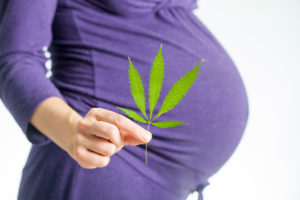 cannabis breastfeeding pregnant