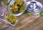 sativa indica