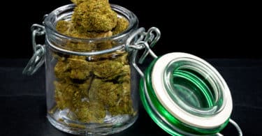 cbd flowers storage