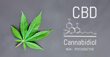 cbd myths