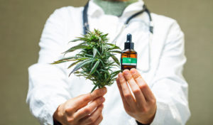 standardized cannabis medicine