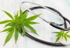 Medical Cannabis Market Projected to Reach USD 60.04 Billion by 2030