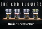 CBD Flowers Business Newsletter