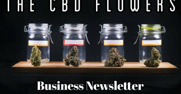 CBD Flowers Business Newsletter