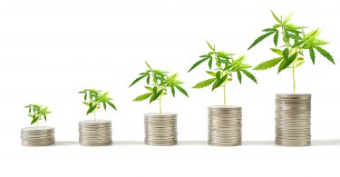 investment cannabis hemp