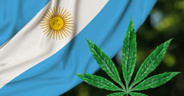 cannabis argentina