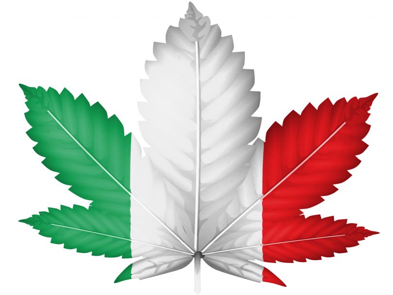 italian cannabis