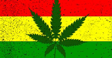 rastafarian cannabis