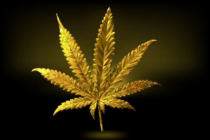 cannabis gold