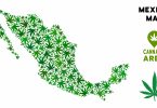 Mexico biggest legal cannabis market