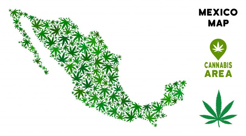 Mexico biggest legal cannabis market