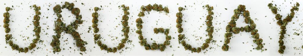 Uruguay cannabis
