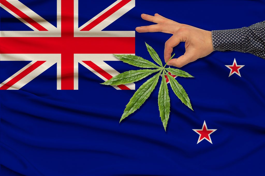 cannabis in New Zealand