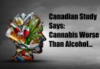 cannabis worse than alcohol