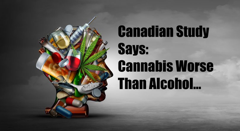 cannabis worse than alcohol
