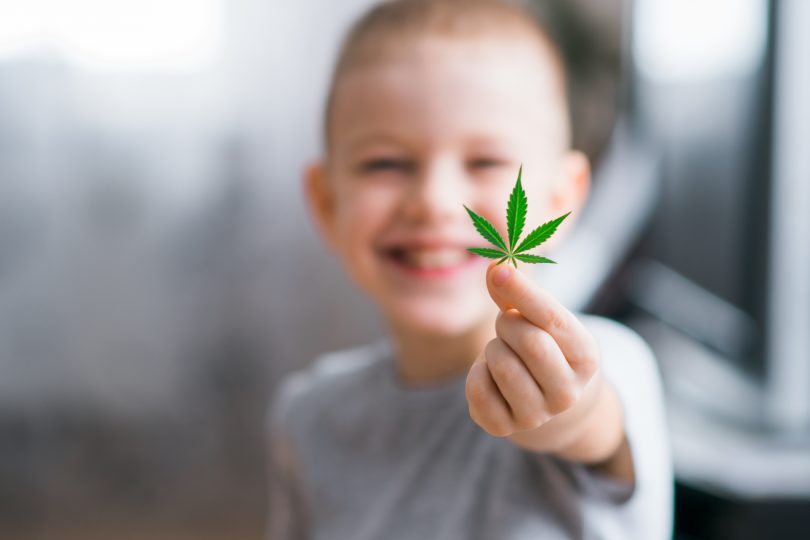 cannabis good young brains