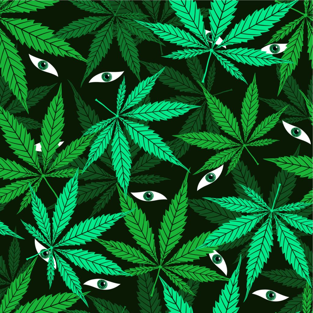 marijuana for the eyes