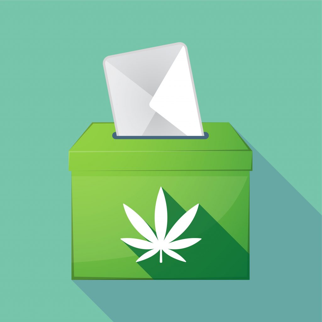 cannabis vote
