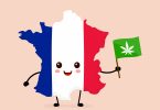 France and cannabis