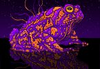 Psychedelic Toad Venom: Exploring Potential for Depression and Anxiety Treatment