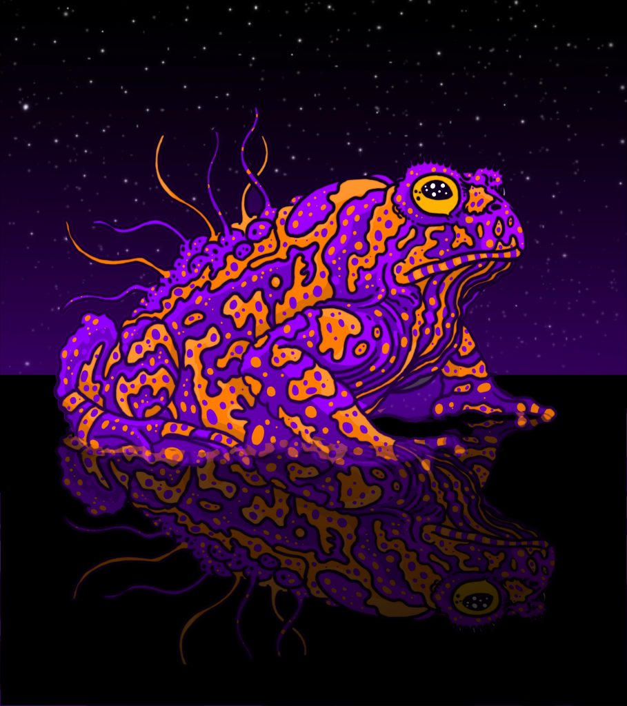 psychedelic toad