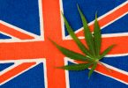 cannabis in UK