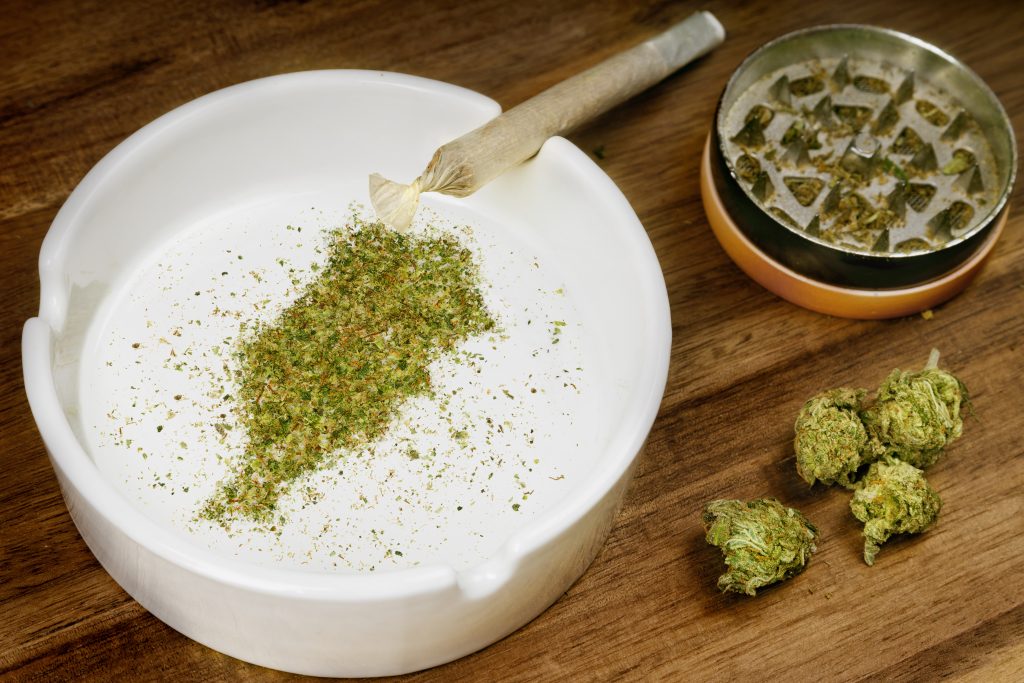 medical cannabis legalization