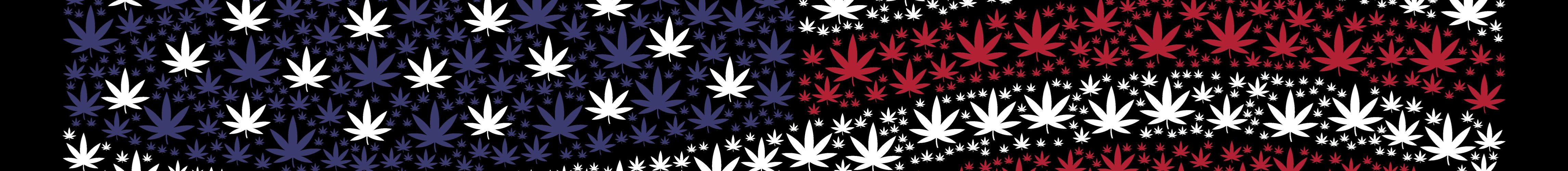 cannabis trends america