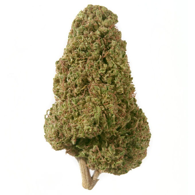 G1 Kush - Potent with a Great Nose - $13.99/oz on hemp flower smalls