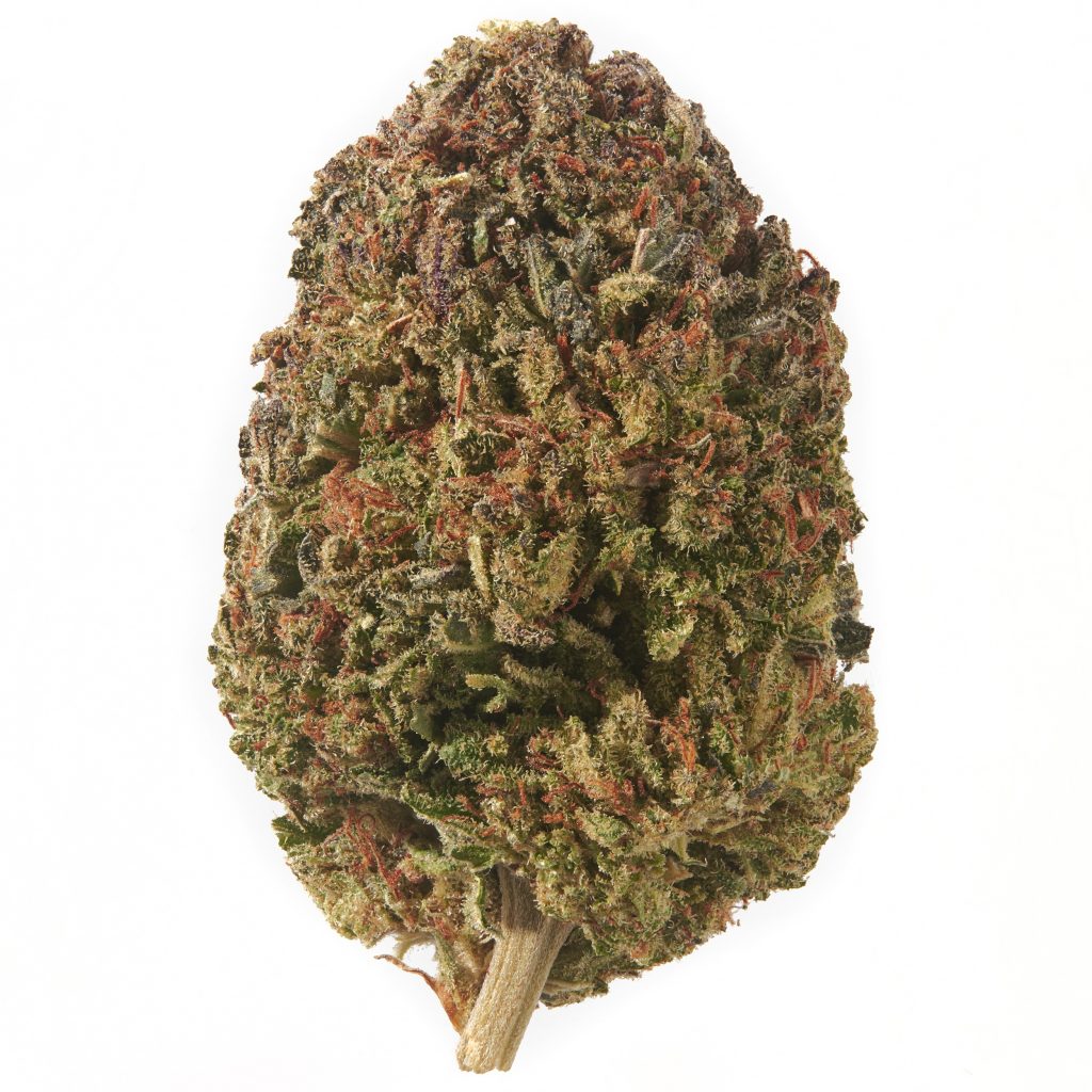 This image has an empty alt attribute; its file name is Bubba-Kush-1024x1024.jpg