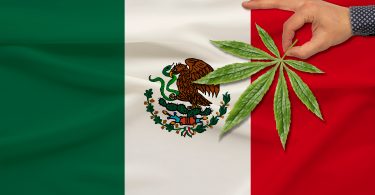 Mexican cannabis legalization