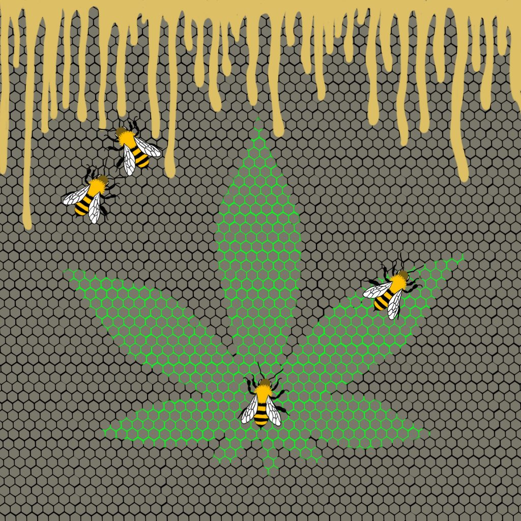 cannabis and bees