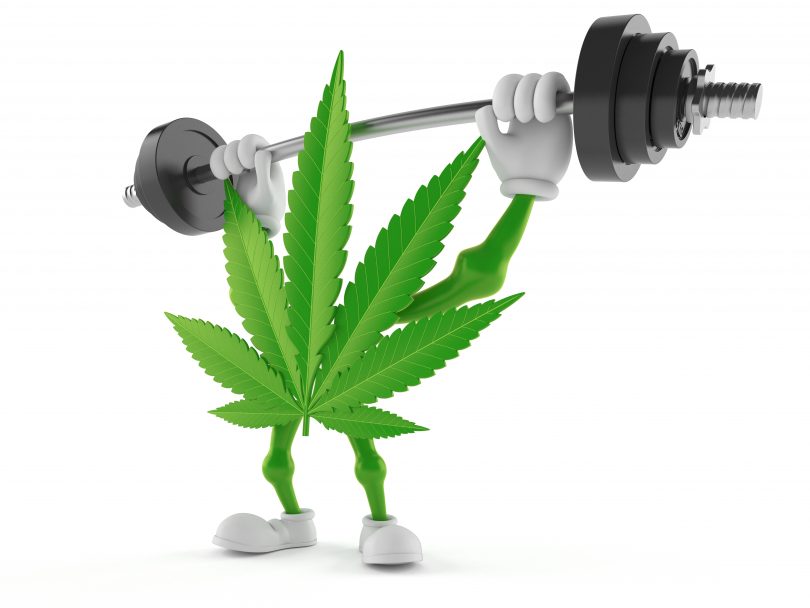 cannabis products workout