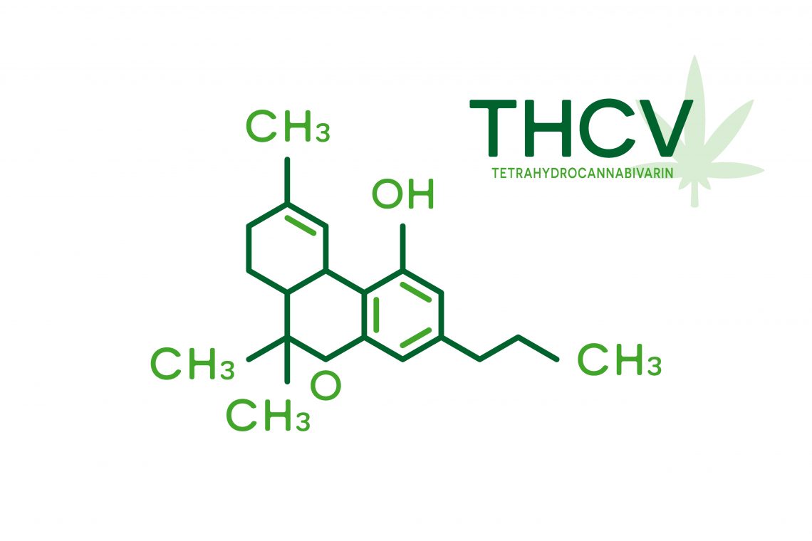 Best THCV Deals – For Energy, Focus & Appetite Control