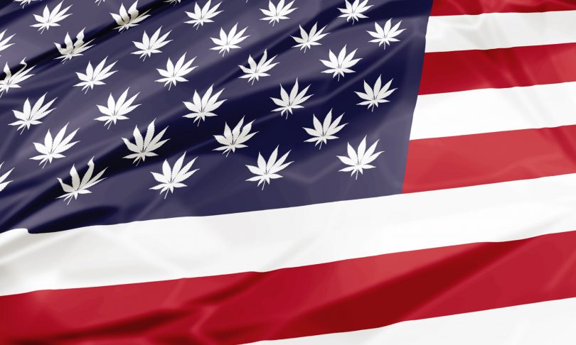 cannabis legislation