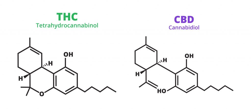 isomers THC and CBD