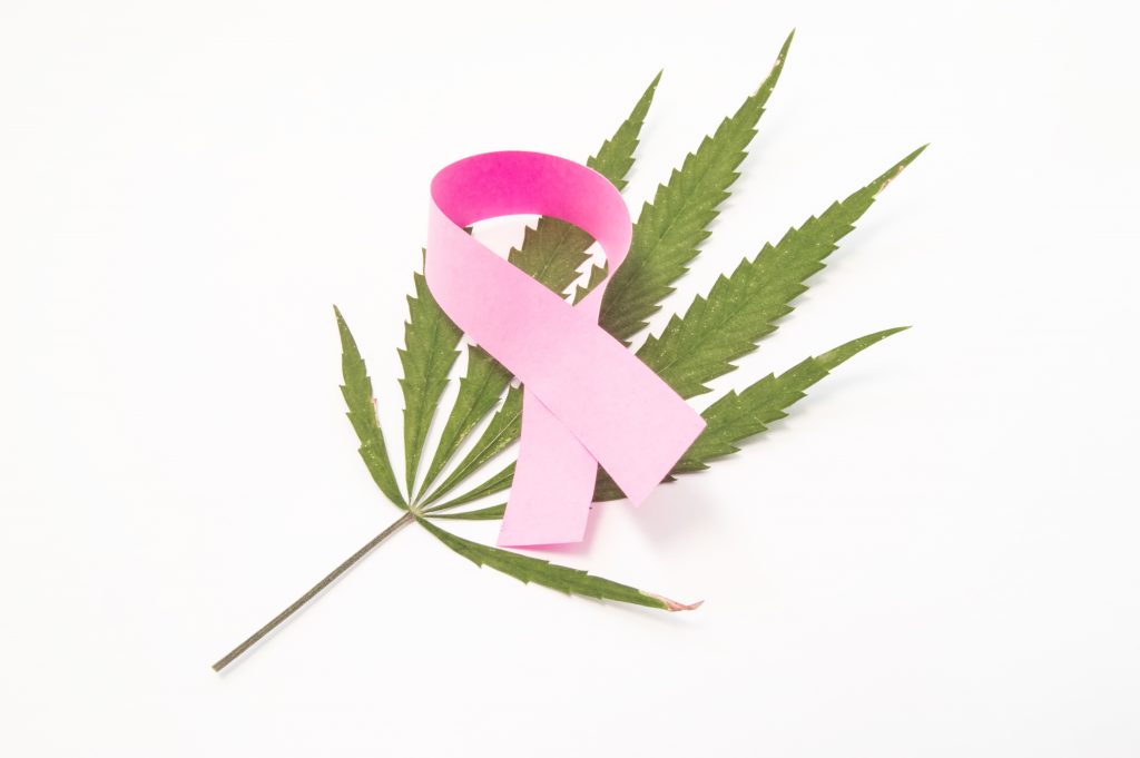 cannabis kill cancer